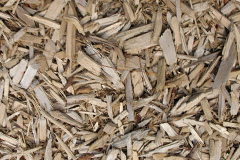 biomass boilers Seadyke